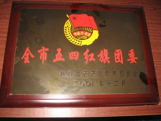 全市五四红旗团委.jpg